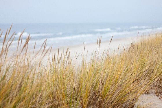 Storm en stikstof gevaar voor Zeeuwse duinen