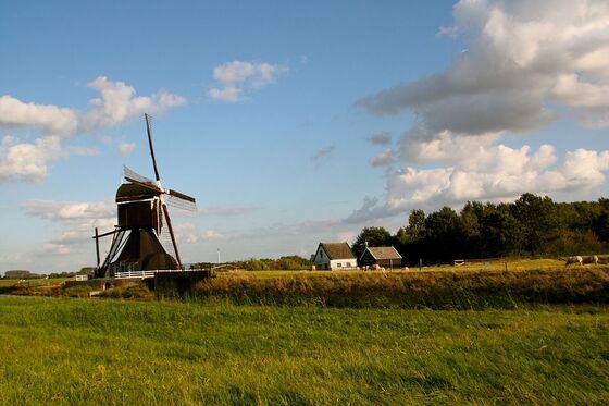 CETA dreigt de druppel voor boeren