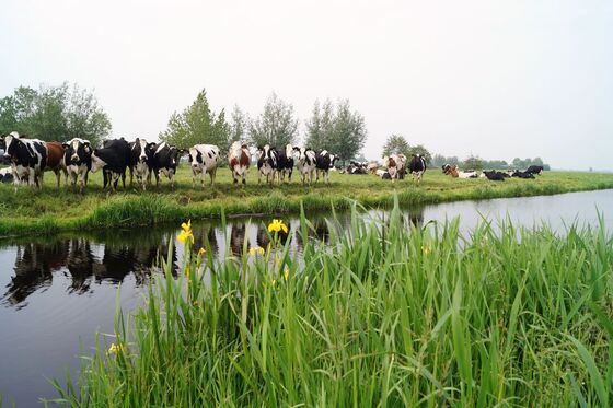 Kabinet koopt hart uit landbouw