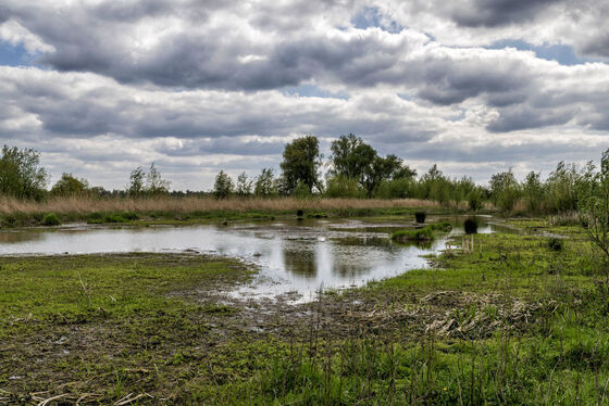 Houdt u rekening met uw beroepsmogelijkheid in het project Westelijke Langstraat?