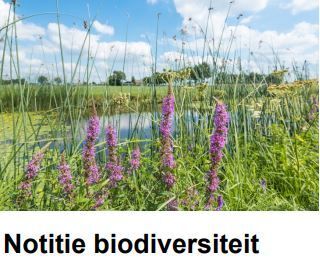 Biodiversiteit