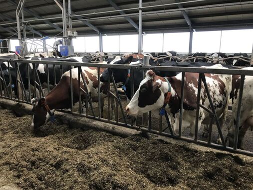 Ruimte voor de boer om te blijven boeren