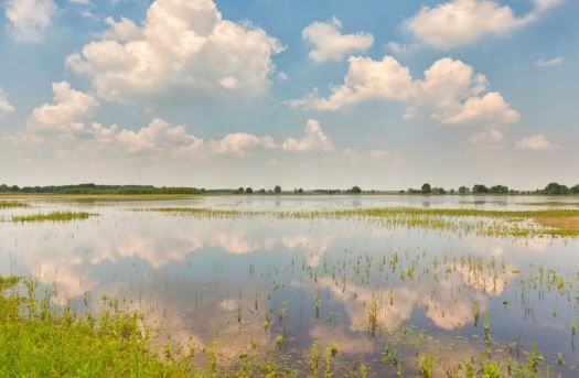 Projectplan Spoortippe Punthorst