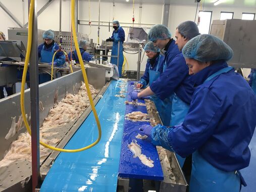 Onwerkbaar EU-voorstel visserij