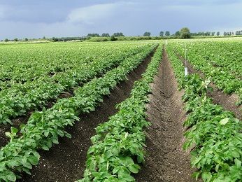 Voldoende voeding na alle EU-plannen landbouw?