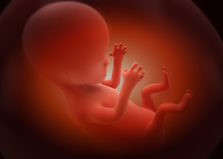 Evaluatie abortuswet geflopt