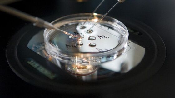 Stemverklaring: SGP tegen nieuwe embryowet