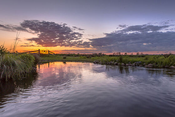 SGP pleit voor behoud geborgde zetels