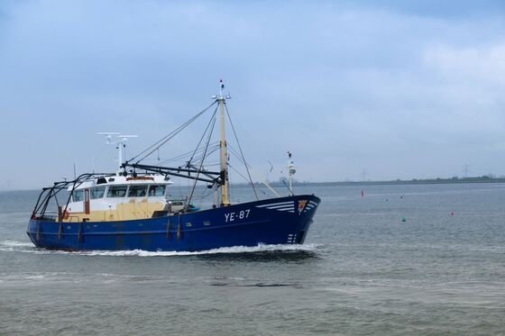 Boter bij de vis