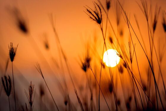 Gerrit Heij over ‘Zo duurzaam als de zon...’