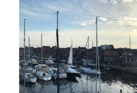 SGP Nieuwsbrief zomer 2020