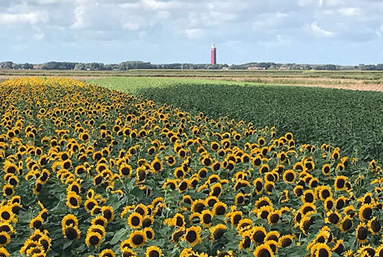 SGP fractie stelt vragen over zoetwater Kop van Goeree