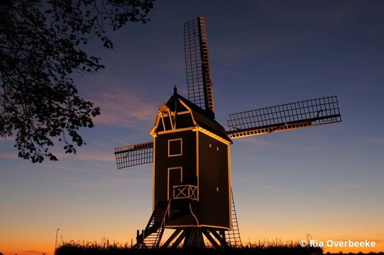 Zorgen over staat Zeeuwse molens