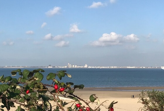 Vragen betreffende ligplaatsvergunning rederij Dijkhuizen