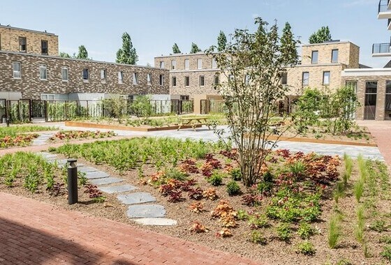 Inbreng SGP bij Omgevingsvisie