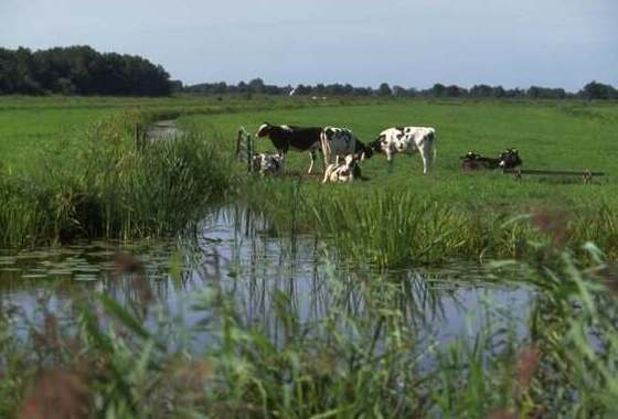 SGP: Recreatie en natuur mét boeren en niet in plaats van boeren