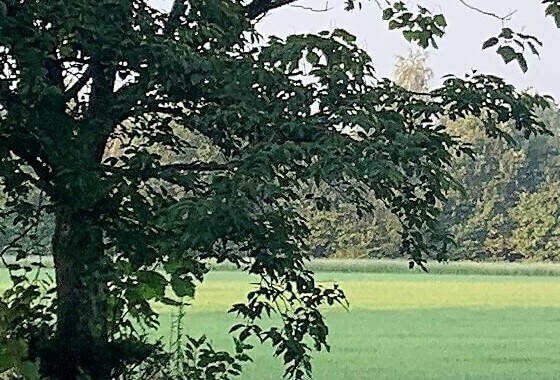 Unieke pilot: woningen met lage energie-aansluiting