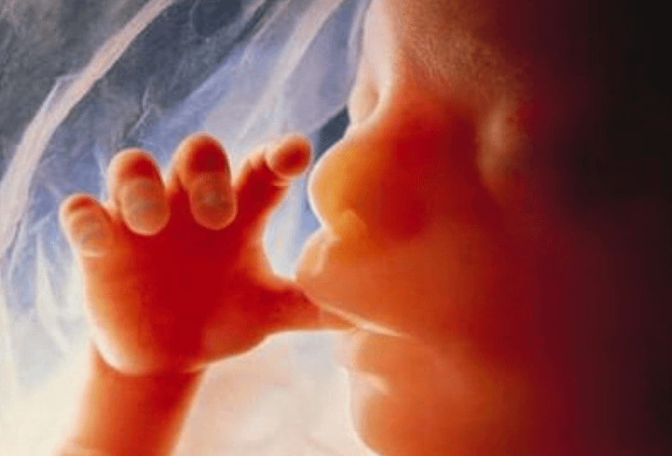 Pak misstanden bij draagmoeders en abortus aan