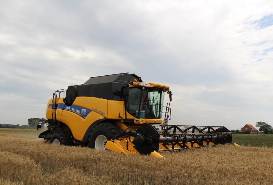 Dankdag 2021: Wij danken U, barmhartig God