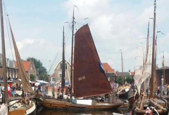 Nieuwsbrief oktober 2020