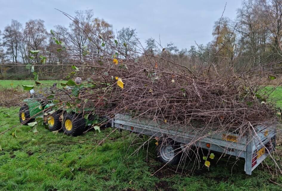 Gratis bomen!