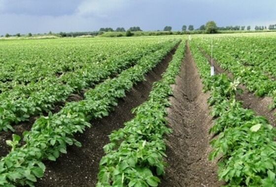 Landbouwbeleid EU uit balans