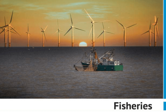 Dringen op de Noordzee