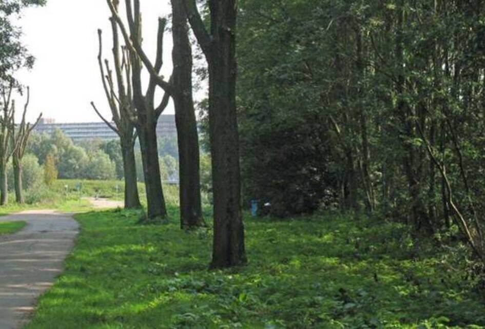 Er wordt veel gebouwd in Capelle. Daarnaast worden ook veel bomen gekapt. Hoe staat de SGP daarin?
