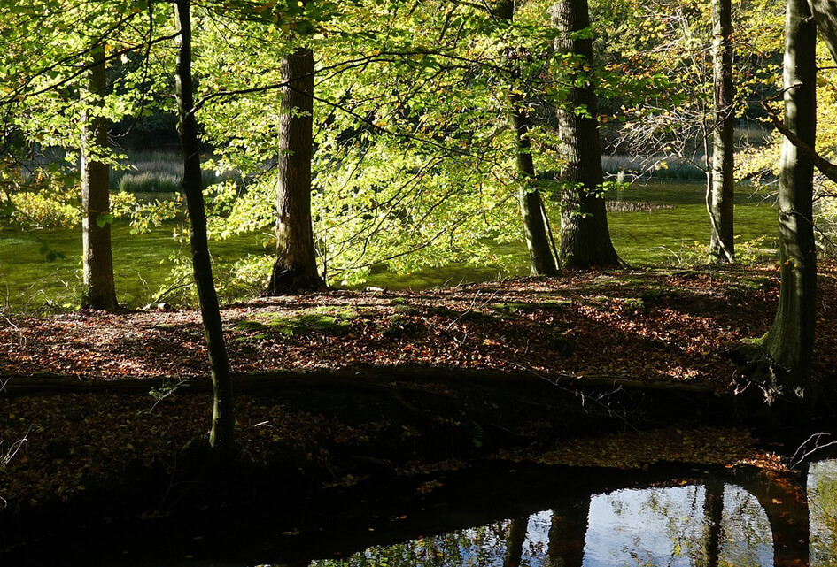 Recreatiezoneringsplan Veluwe gaat zienswijzeprocedure in