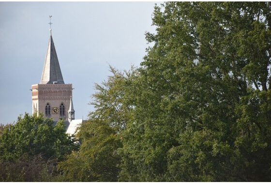 Bert van Roekel over: Kerkenland