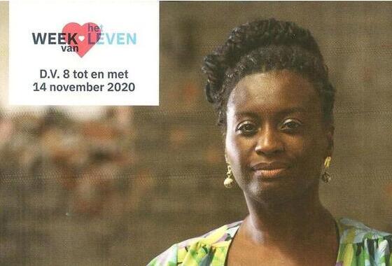 De Beschermde Wieg en Het Babyhuis