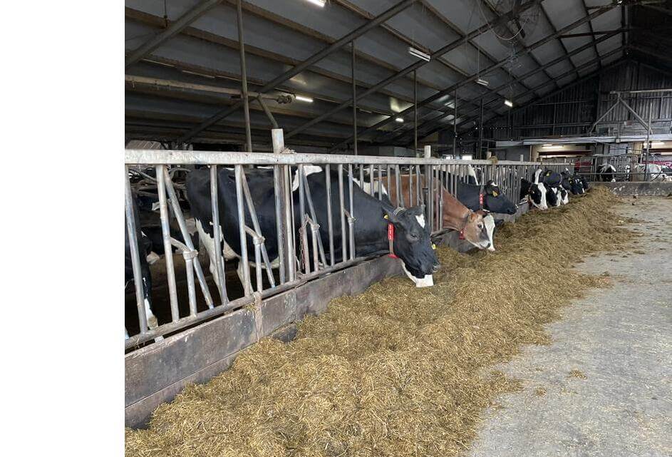 Werkbezoek agrarische ondernemers heeft direct resultaat