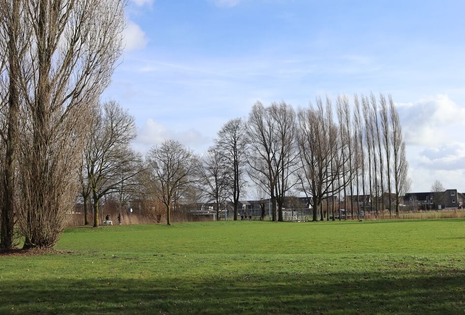 Amendement Vista: niet bouwen in groen