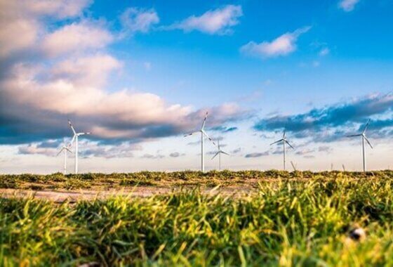 Kamervragen SGP | Stikstofgevoelige natuur in Aerius
