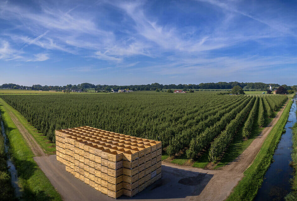 Laat de teelt in de Betuwe niet opdrogen!
