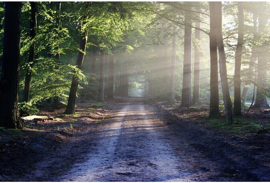Recreatiezonering: Mogen we de veluwe nog op?