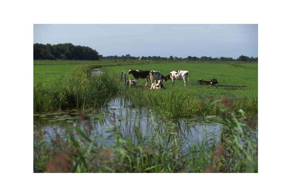 SGP prioriteert in stikstofdiscussie
