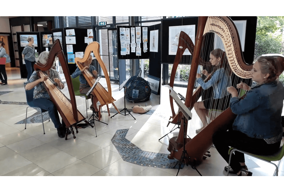 Muziekschool financiële ontwikkelingen monitoren belangrijk