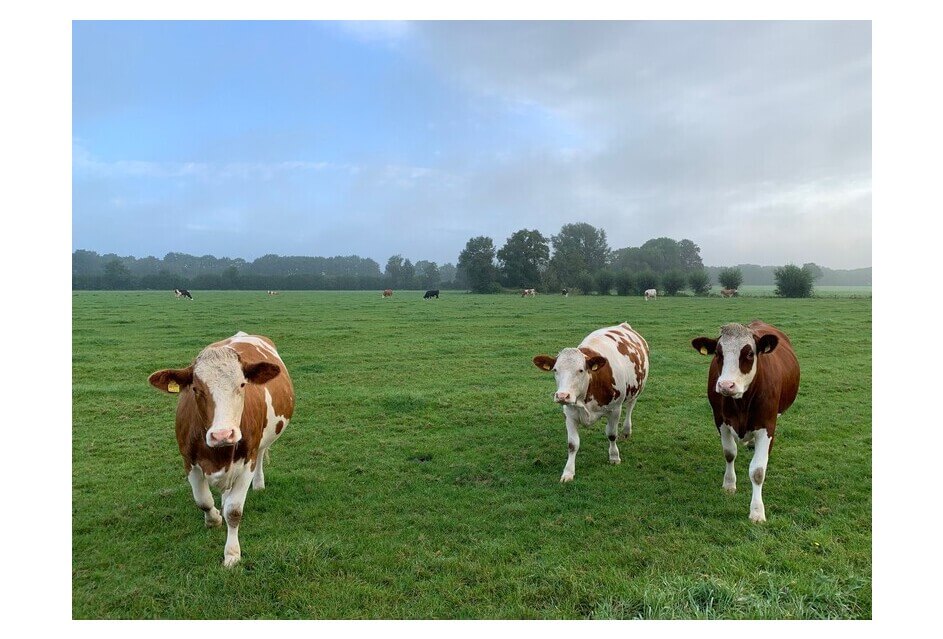 Gedeputeerde Staten Overijssel: Duidelijkheid en perspectief nodig