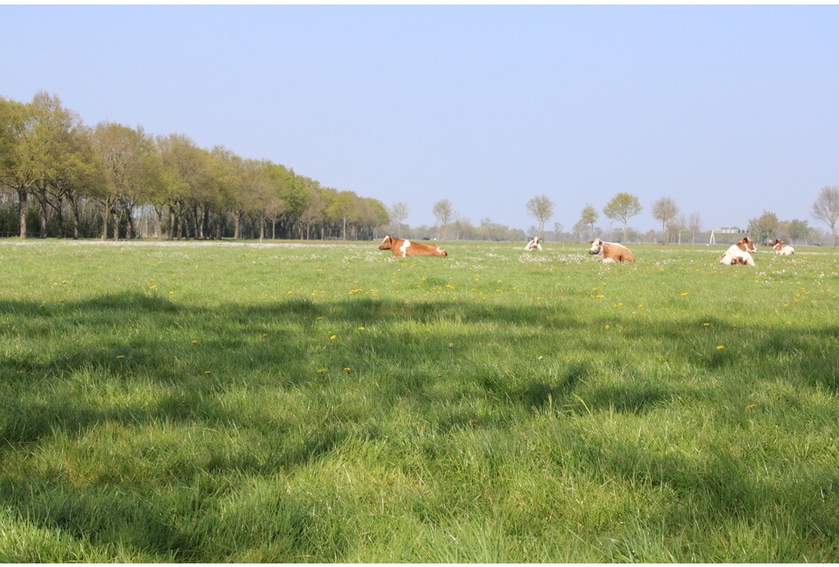 Staphorsterveld: agrarisch houden!