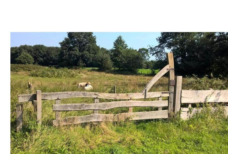 Overijssel wil geen nieuwe Natura 2000 gebieden