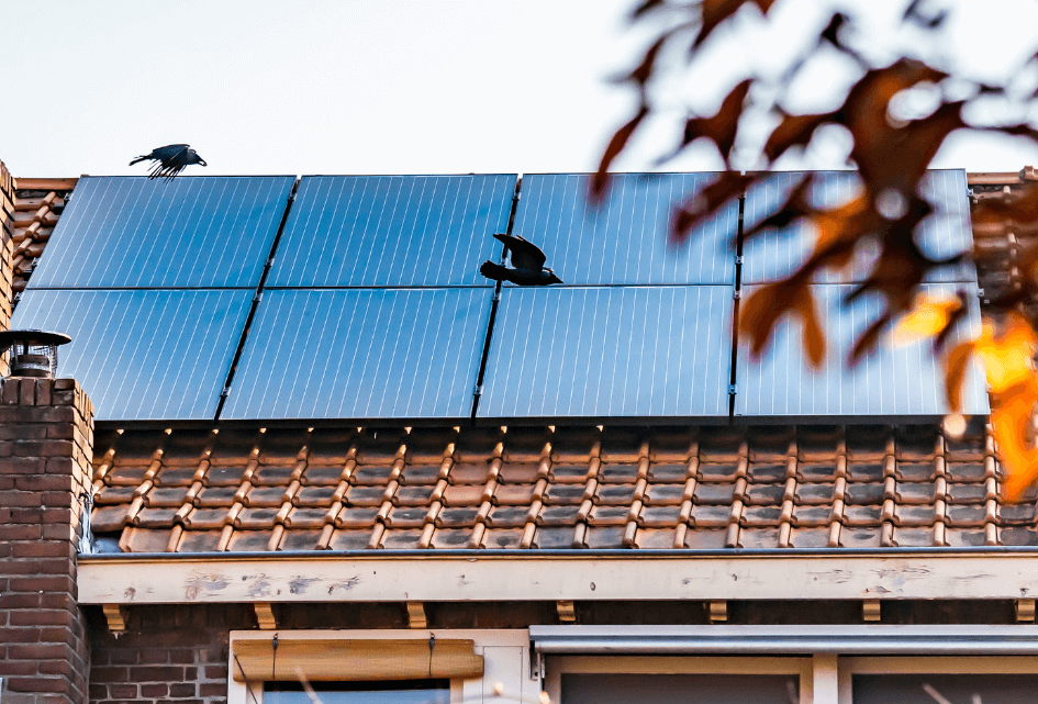 Ouderen dreigen energietoeslag mis te lopen