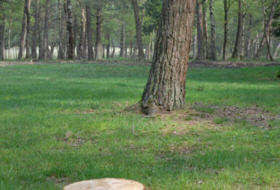 Natuurbegraven in Ermelo? Vervolg