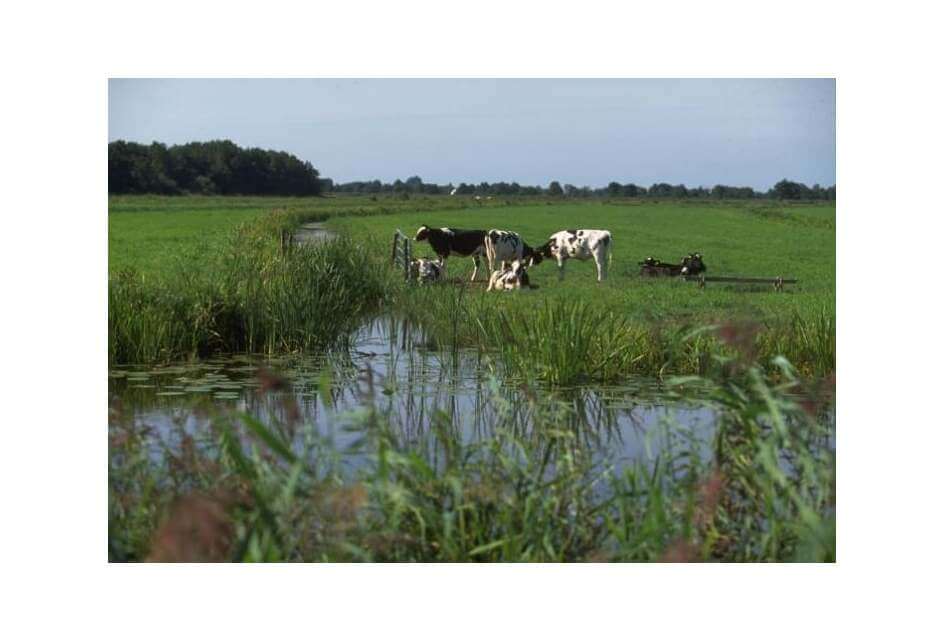 SGP-terugblik op stikstofweek 