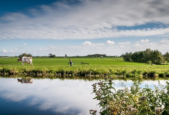 Wie rood staat, kan niet groen zijn