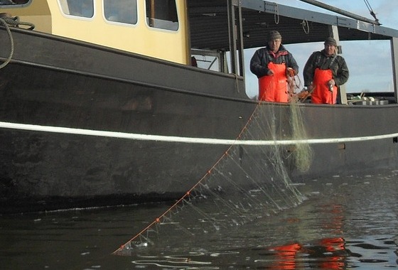 Toekomst IJsselmeervisserij