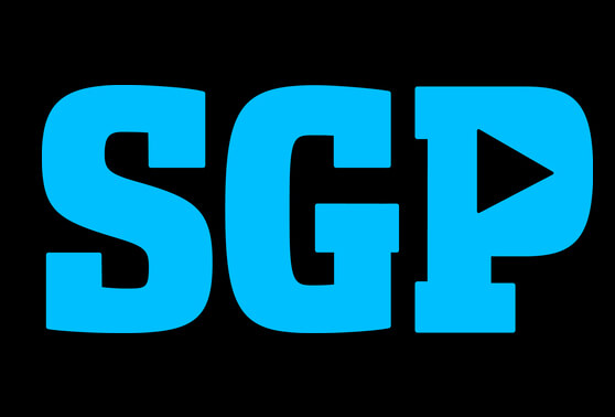 Bijdrage SGP, Algemene beschouwingen