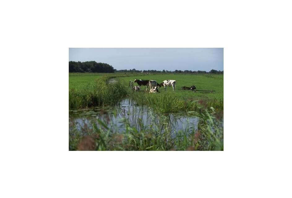 SGP: Uitvoering landelijk gebied kan alleen met vertrouwen