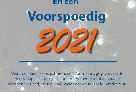 SGP Rijssen-Holten wenst u gezegende kerstdagen toe