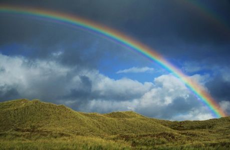 SGP vraagt duidelijkheid over LHBT-beleid